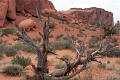 09_canionsland_110