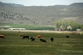 10_sur_la_route_081
