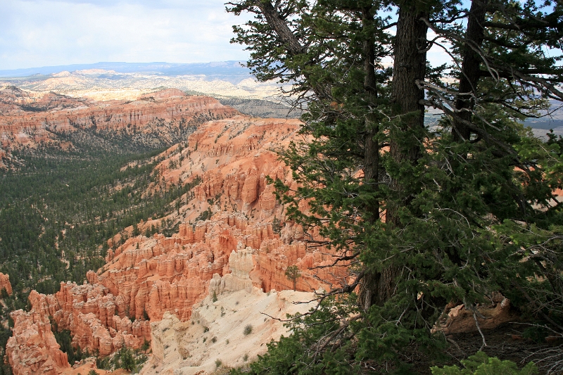 11_brice_canyon_0005.jpg