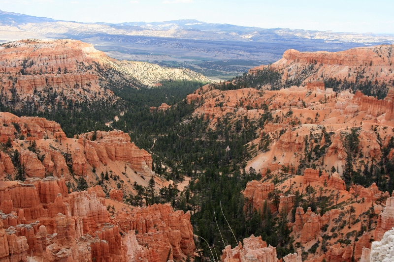 11_brice_canyon_0103.jpg