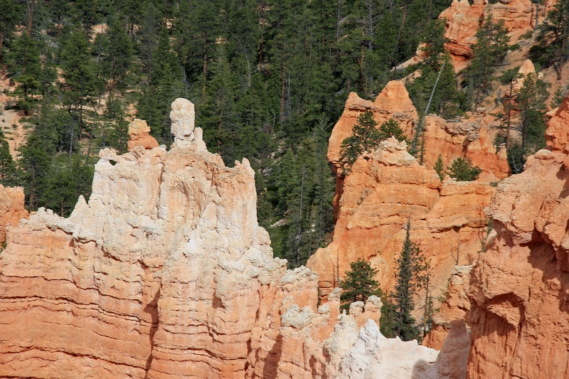 11_brice_canyon_0192.jpg