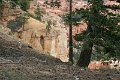11_brice_canyon_0007