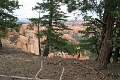 11_brice_canyon_0009
