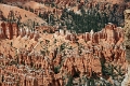 11_brice_canyon_0039