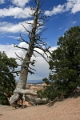 11_brice_canyon_0042