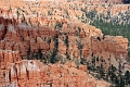 11_brice_canyon_0084