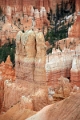 11_brice_canyon_0126
