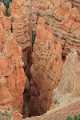 11_brice_canyon_0164