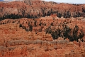 11_brice_canyon_0166