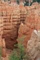 11_brice_canyon_0175