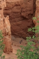 11_brice_canyon_0176