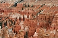 11_brice_canyon_0177