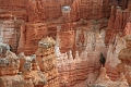 11_brice_canyon_0188