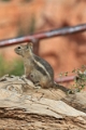 11_brice_canyon_0197