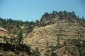 13_sur_la_route_de_las_vegas_031