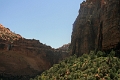 13_sur_la_route_de_las_vegas_047