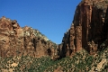 13_sur_la_route_de_las_vegas_052