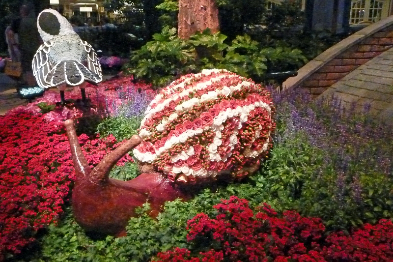 14_las_vegas_040.jpg