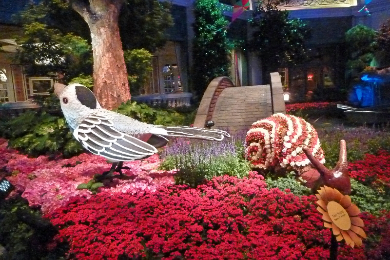 14_las_vegas_042.jpg