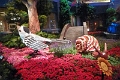 14_las_vegas_042