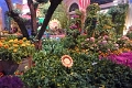 14_las_vegas_043