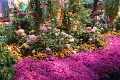 14_las_vegas_044