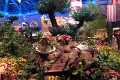 14_las_vegas_045