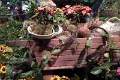 14_las_vegas_046