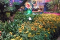 14_las_vegas_047