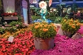 14_las_vegas_051