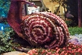 14_las_vegas_054