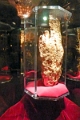 14_las_vegas_094