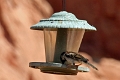 15_la_vallee_de_feu_018