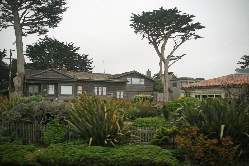 20_patterson_026.jpg