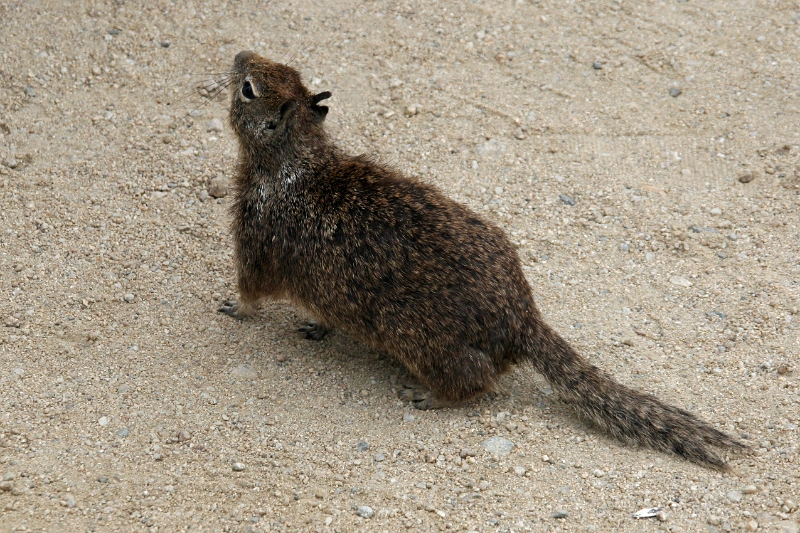 20_patterson_034.jpg