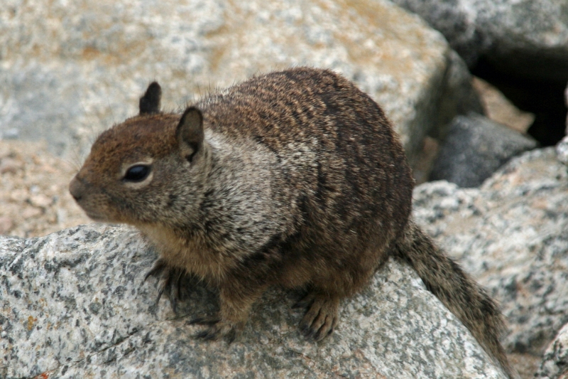 20_patterson_038.jpg