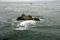 20_patterson_004