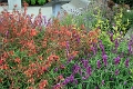 20_patterson_006