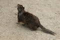 20_patterson_034
