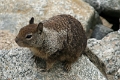 20_patterson_038