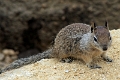 20_patterson_040