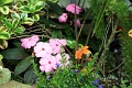 22_carmel_010