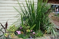 22_carmel_011