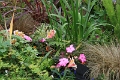 22_carmel_012