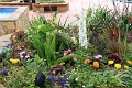 22_carmel_013