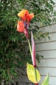 22_carmel_014