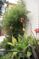 22_carmel_015