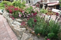 22_carmel_016