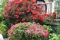 22_carmel_017