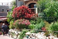 22_carmel_020
